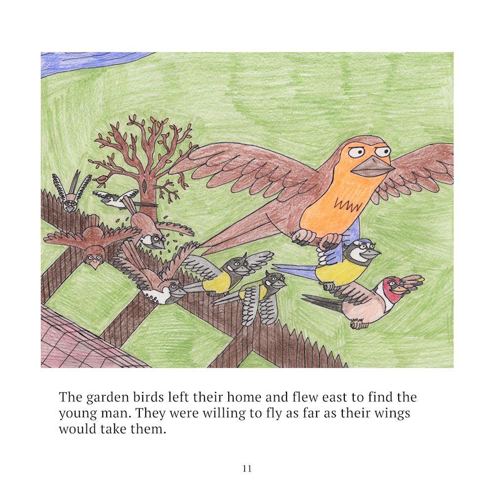 Page 11