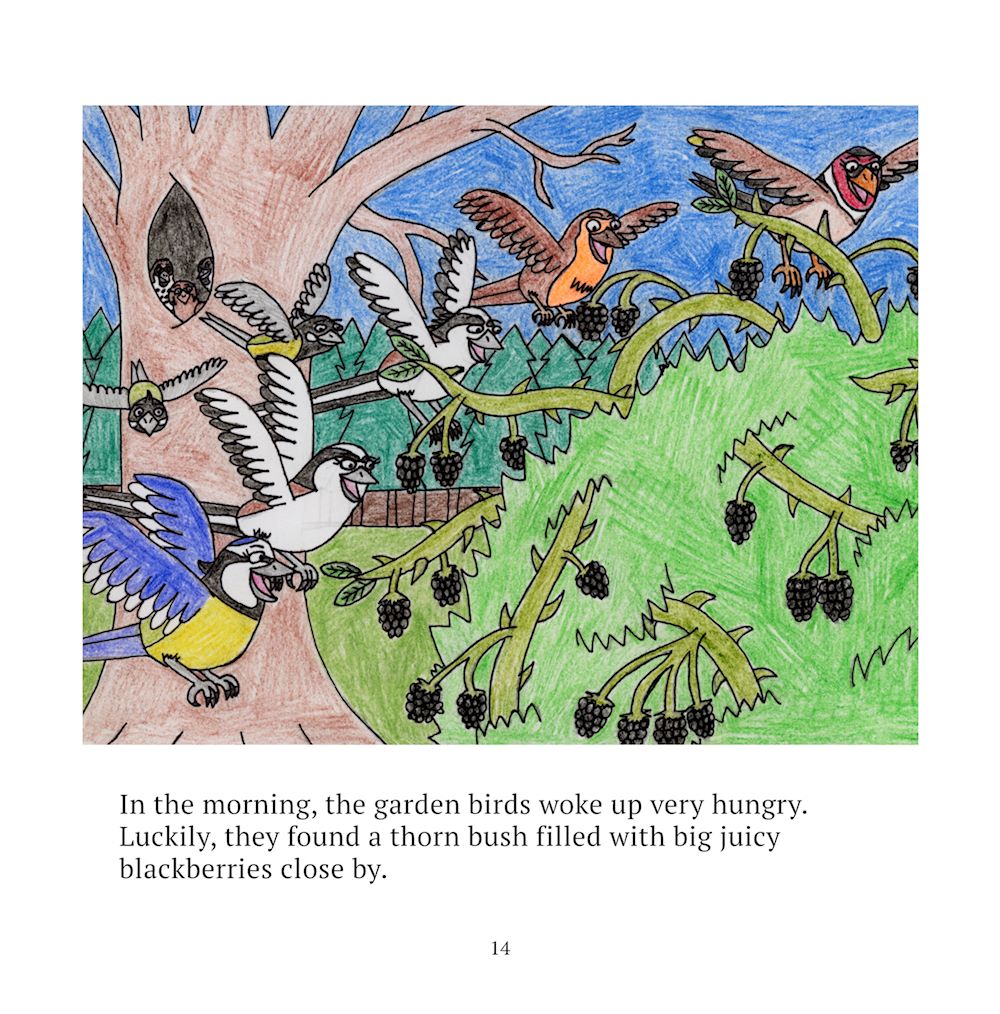 Page 14